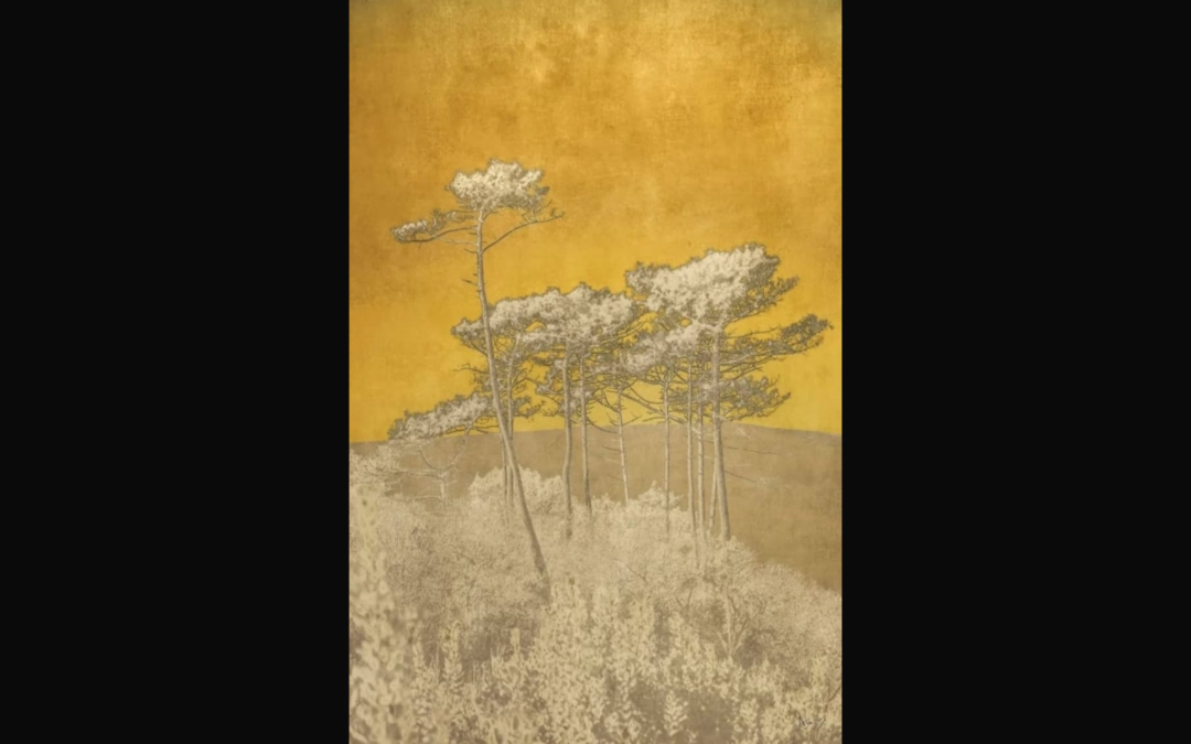 Julie Arnoux – Vue sur mer