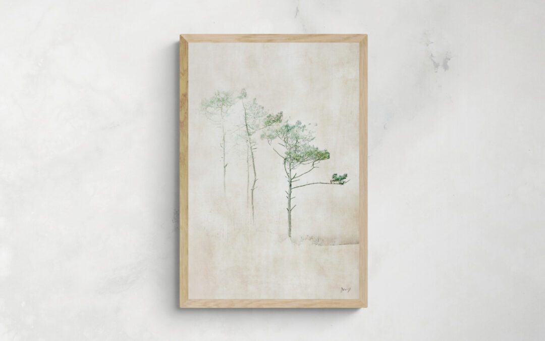 Julie Arnoux – Traces