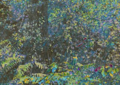 Julie Arnoux jardin sauvage