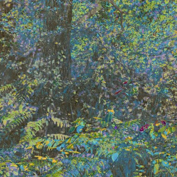 Julie Arnoux jardin sauvage