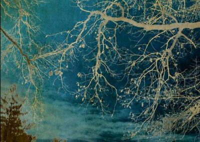 Julie Arnoux le temps d’un songe
