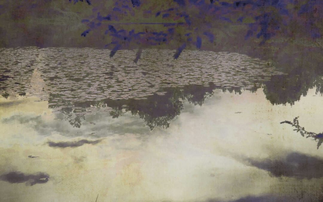 Julie Arnoux lueurs