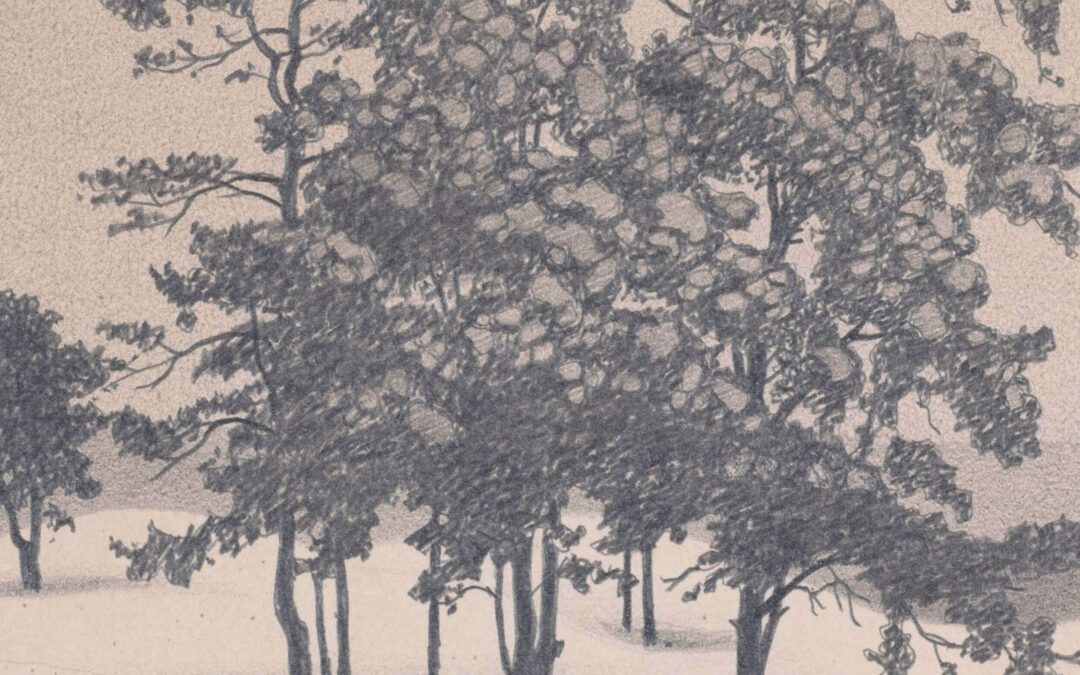 Lund in winter landscape