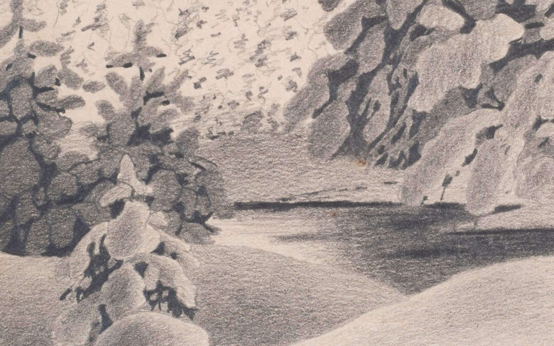 Snow forest covered grove with streams